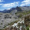 Edelweiss im Naturpark Puez Geisler, im Hintergrund die Schneefelder des Marmolata-Gletschers. Foto: AT, &copy; Peer