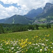 blumenwiesen bei castalta badia darunter la villa