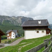 oies ciasa freinademetz