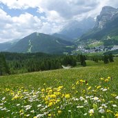 blumenwiesen bei castalta badia darunter la villa