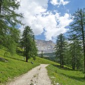 badia weg a forstweg oberhalb costalta