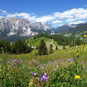 wiesen bei cialaruns