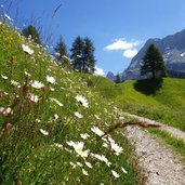 wiesen bei valacia an der roda de armentara