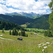 wiesen und blick richtung campolongo und marmolada