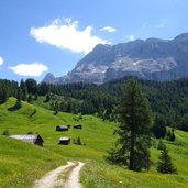 wiesen bei valacia an der roda de armentara fr