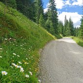 weg nr corvara nach passo incisa