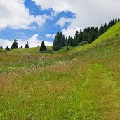 wiesen bei passo incisa