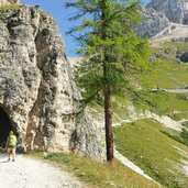 sentiero e falzarego per col dei bos