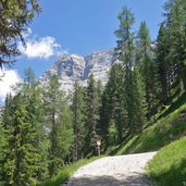 weg a oberhalb von armentarawiesen