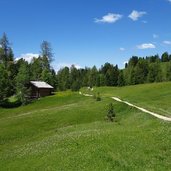 fedares wiesen weg nr