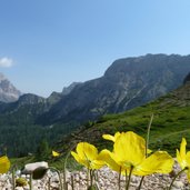 settsass alpenmohn und sicht richtung fanes