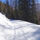 weg nr rit pares winter spuren im schnee