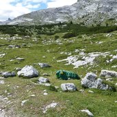 gruener frosch am limojoch ju de limo