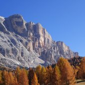 armentara heiligkreuzkofel sas dla crusc herbst laerchen