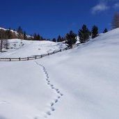 roda de armentara winter wiesen