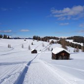 armentara wiesen winter weg a