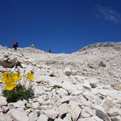 sella sentiero in direzione forcella d antersass