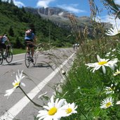 Sellaronda