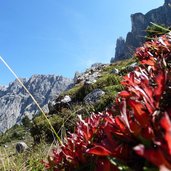 RS antersasc tal puez gardenaccia herbststimmung