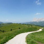RS pralongia forstweg richtung piz la ila
