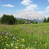 RS wiesen am weg zum piz sorega dahinter fanesgruppe