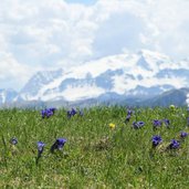 RS Naturpark Fanes Sennes Prags Alta Badia