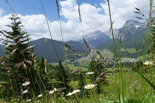 badia blumenwiesen bei castalta