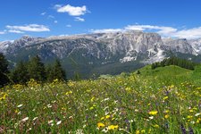 wiesen bei cialaruns badia natur