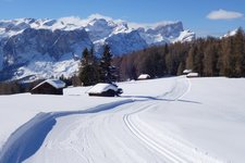 RS armentara winter landschaft langlauf loipen