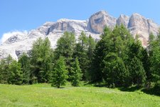 RS fedares wiesen blick auf fanes heiligkreuzkofel