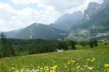 RS blumenwiesen bei castalta badia darunter la villa