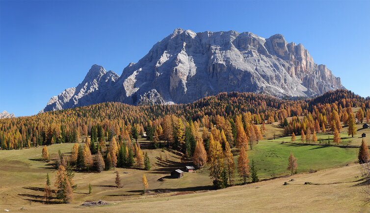 armentara heiligkreuzkofel sas dla crusc herbst fr