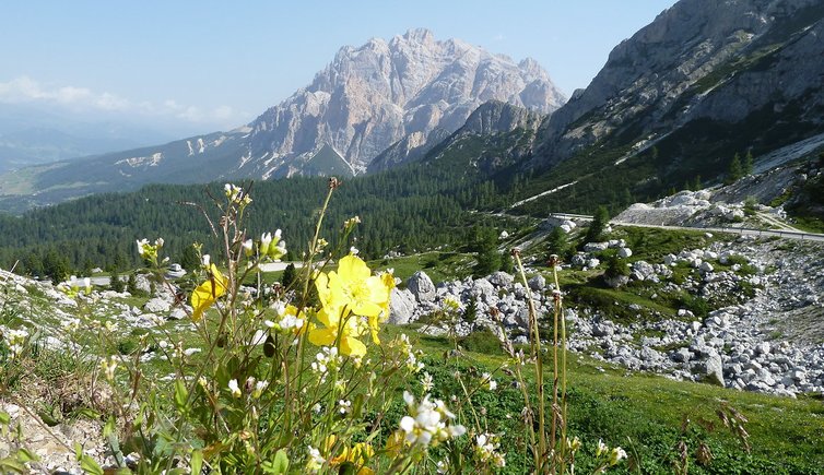 RS valparola pass blick auf conturines