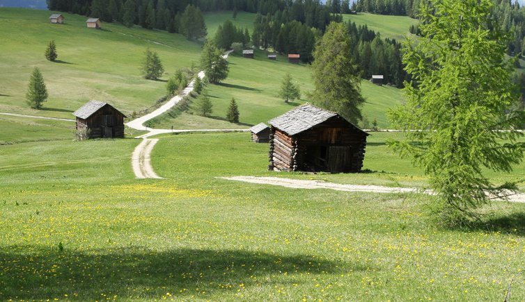 RS Heiligkreuz la Crusc Alta Badia