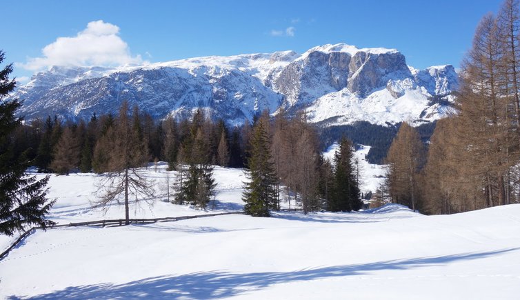 RS roda de armentara winter blick auf gardenaccia