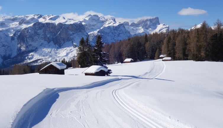 RS armentara winter landschaft langlauf loipen