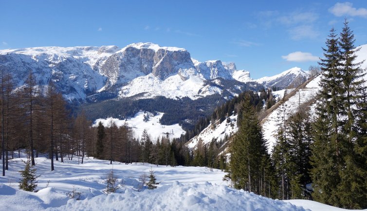 RS winter blick auf gardenaccia