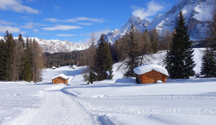 RS winter armentara wiesen wege und loipen