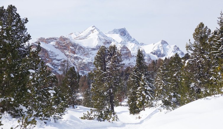 RS winter blick fanes heiligkreuzkofel zehnerkofel neunerkofel